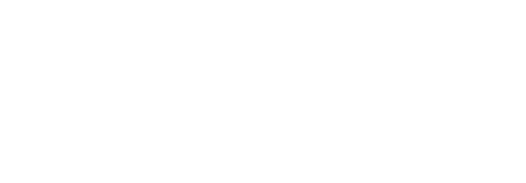 Zircon Software